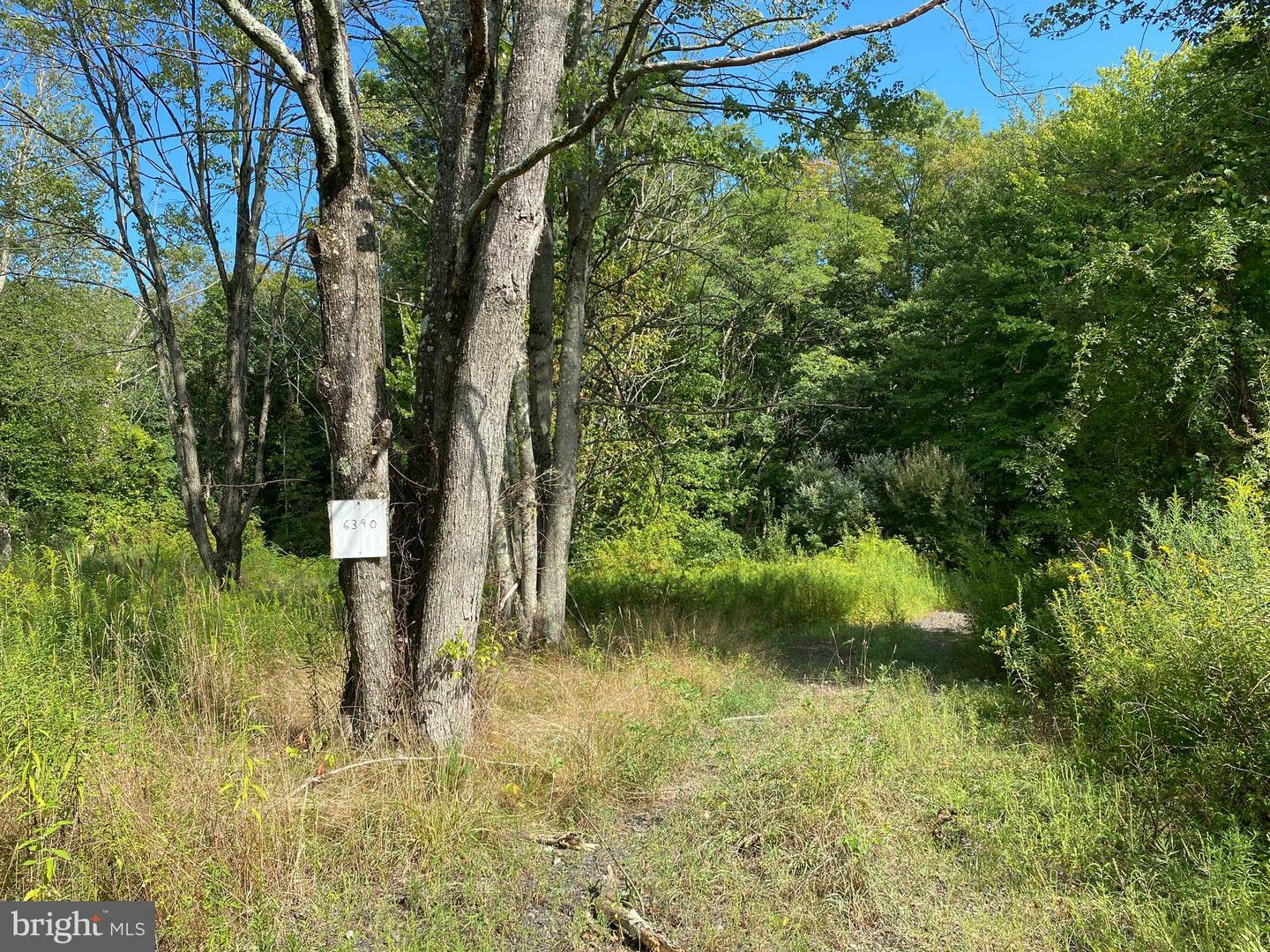 Property Photo:  6390 Ferry Rd  PA 18902 