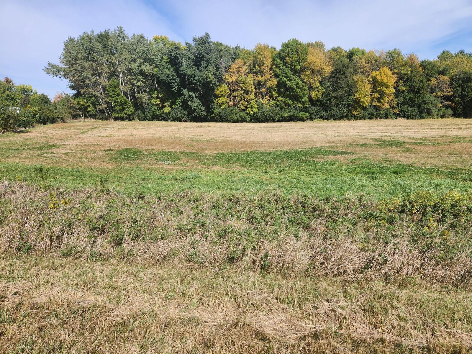 Property Photo: Lot 1 Edgewater Road MN 56055