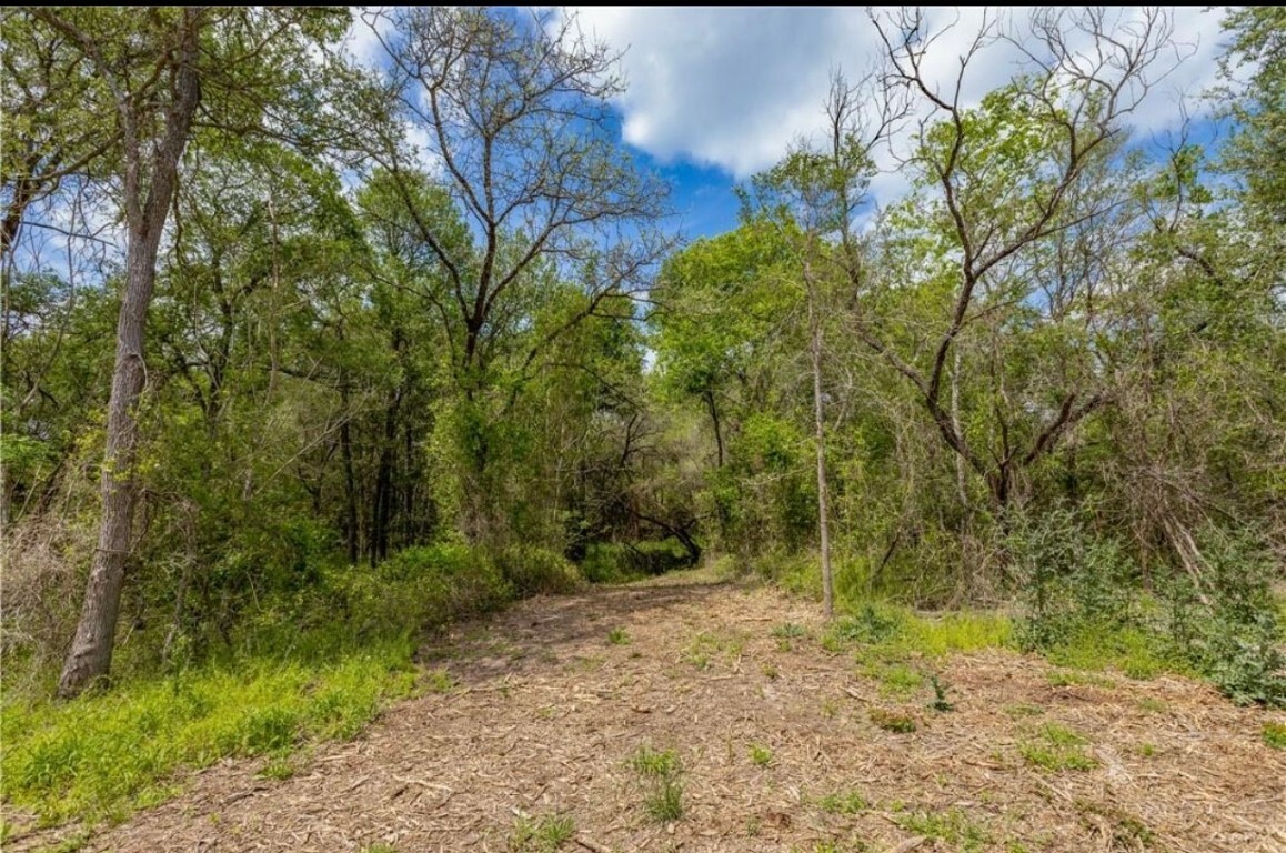 Property Photo:  199 Crooked Road  TX 78616 