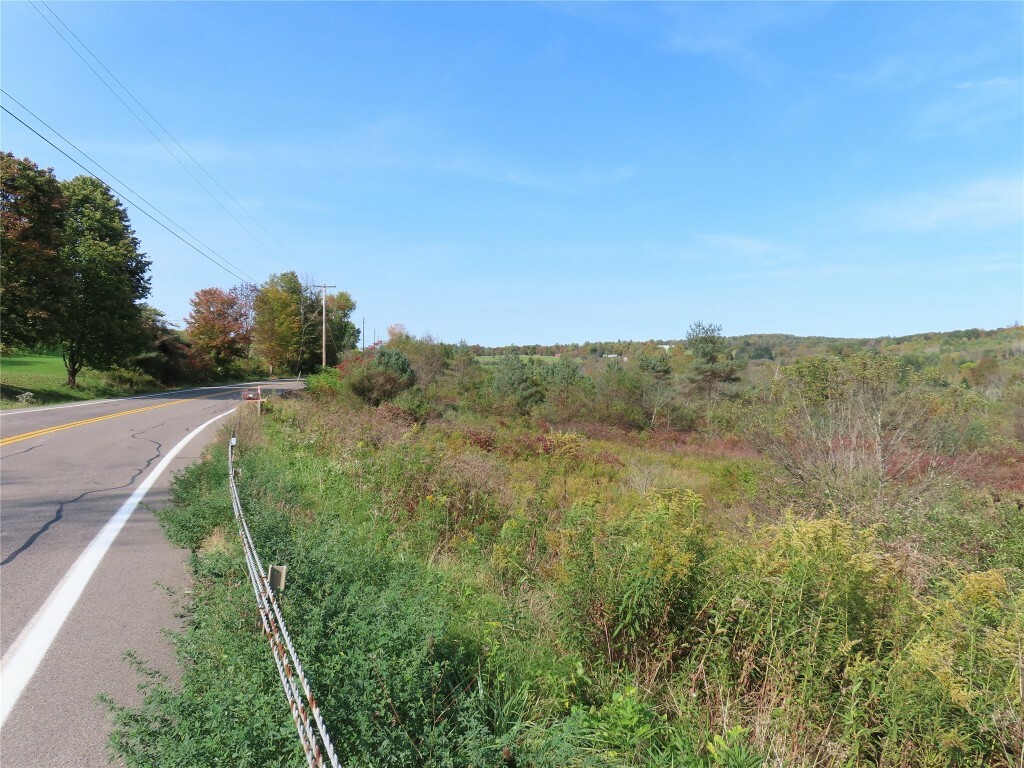 Property Photo:  0 State Highway 41 10.222 #1  NY 13778 