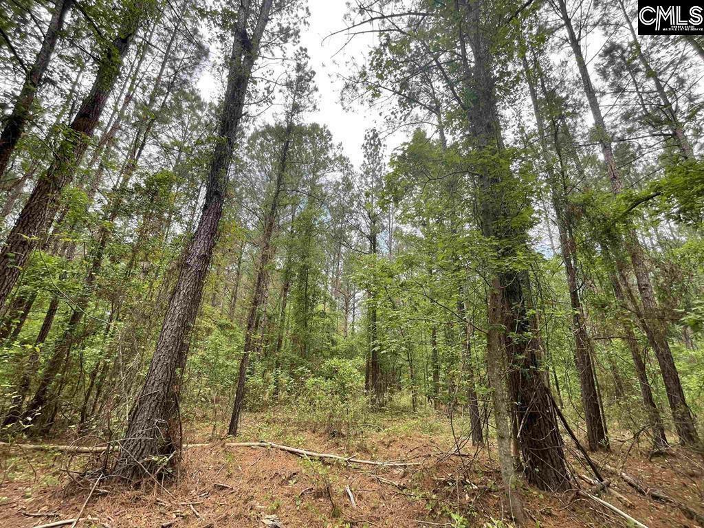 Property Photo: Bull Swamp SC 29112