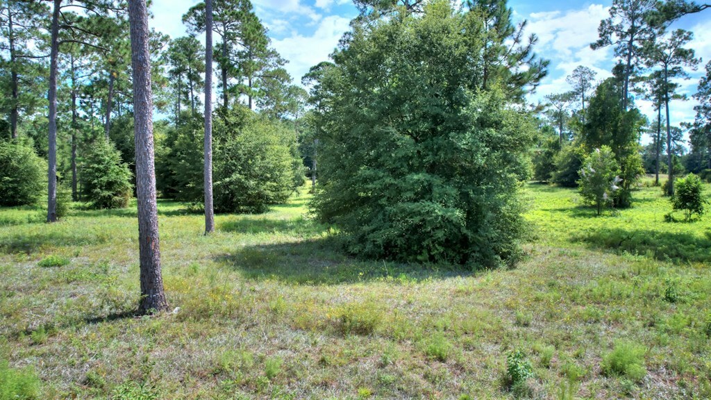 Property Photo:  Lot 46 Blk A - Swann Dr  GA 31015 