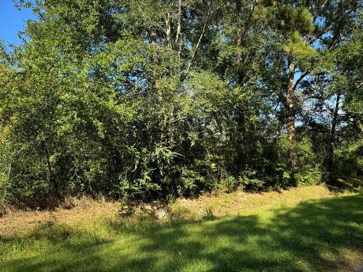 Property Photo:  Lot 73 Pine Park Boulevard  TX 77632 