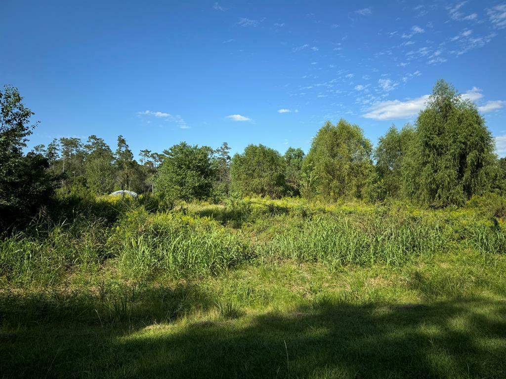 Property Photo:  Lot 70 Pine Park Boulevard  TX 77632 