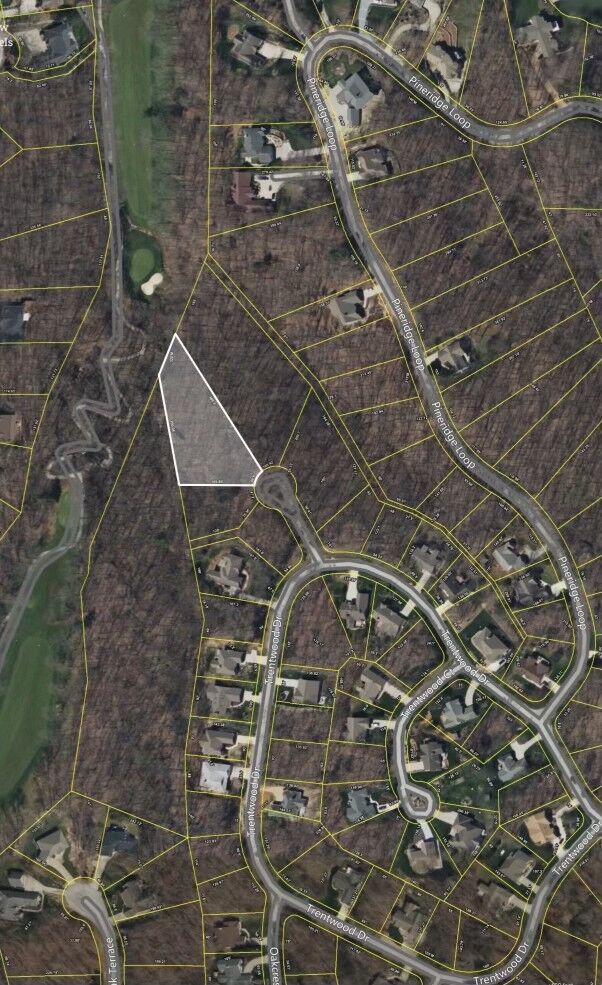 Property Photo: 17 Trentwood Ct TN 38558