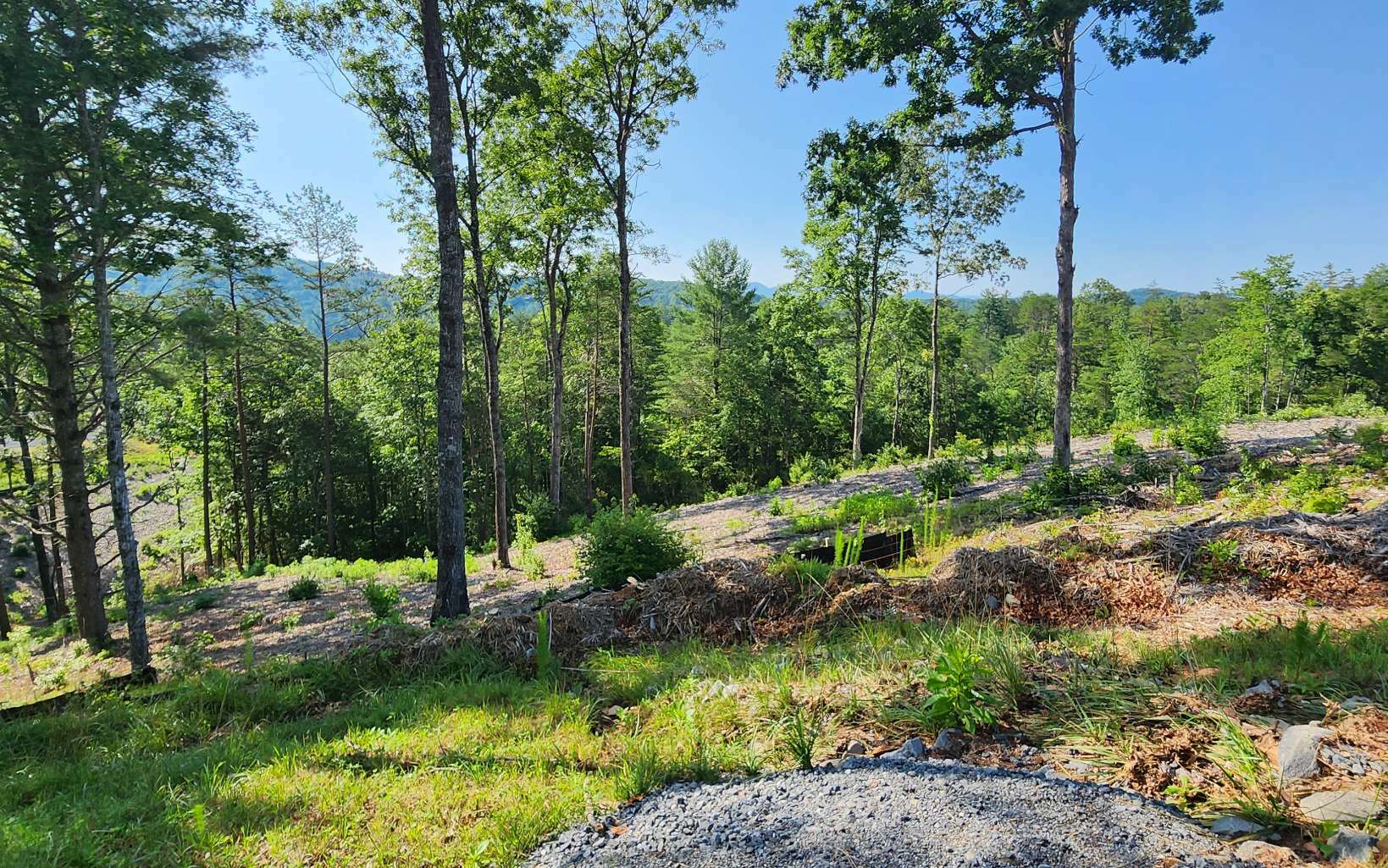 Property Photo:  Lot 18 Mountain Laurel Ridge  GA 30559 