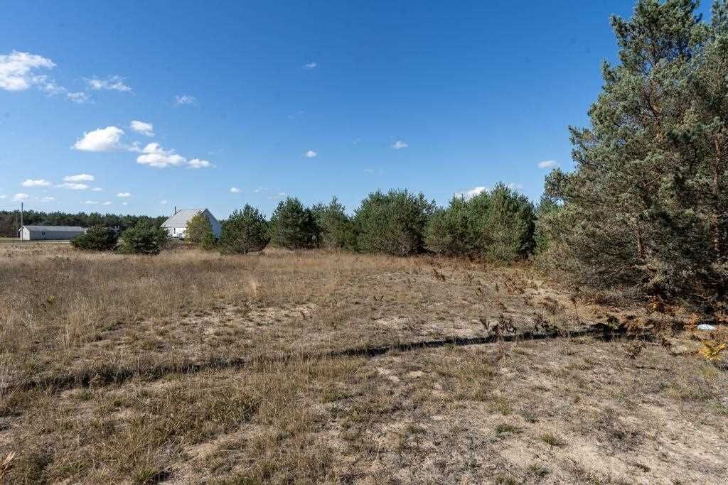 Property Photo: 0 Robinson Rd MI 49769