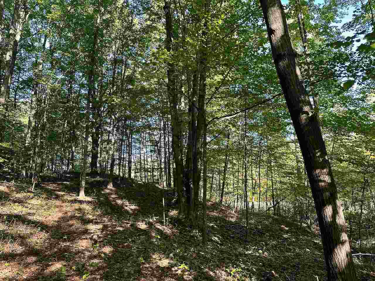 Property Photo:  Parcel D Shanty Creek  MI 49615 