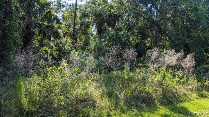 Property Photo: 11122 W Cedar Lake Drive FL 34429