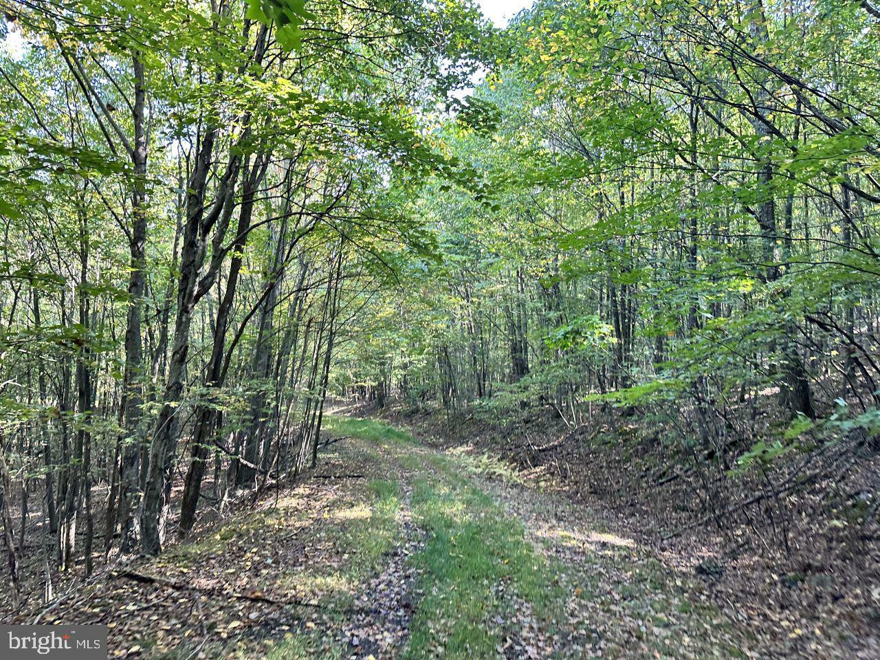 Property Photo:  0 Moncove Lake Rd.  WV 24941 