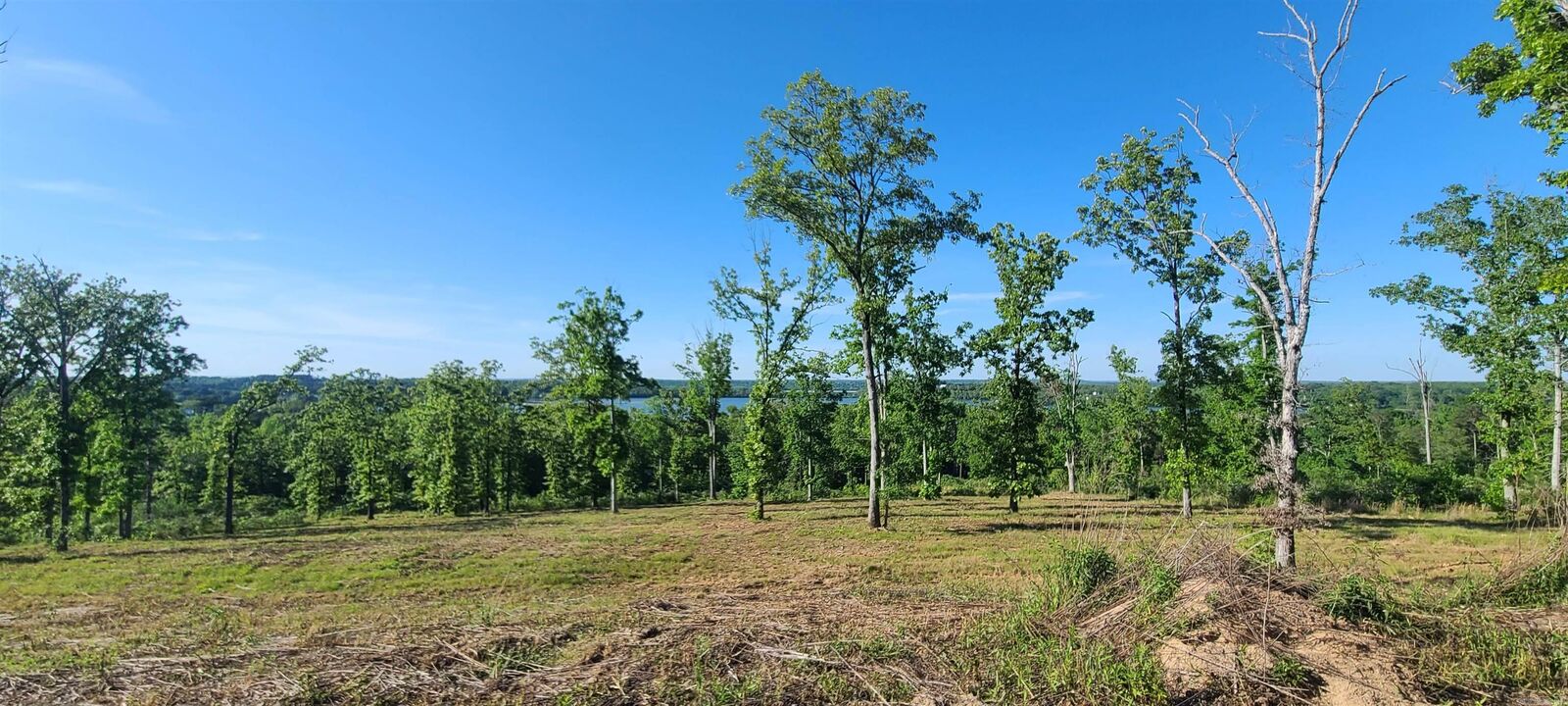 Property Photo:  230 Waterview Drive  AR 72032 