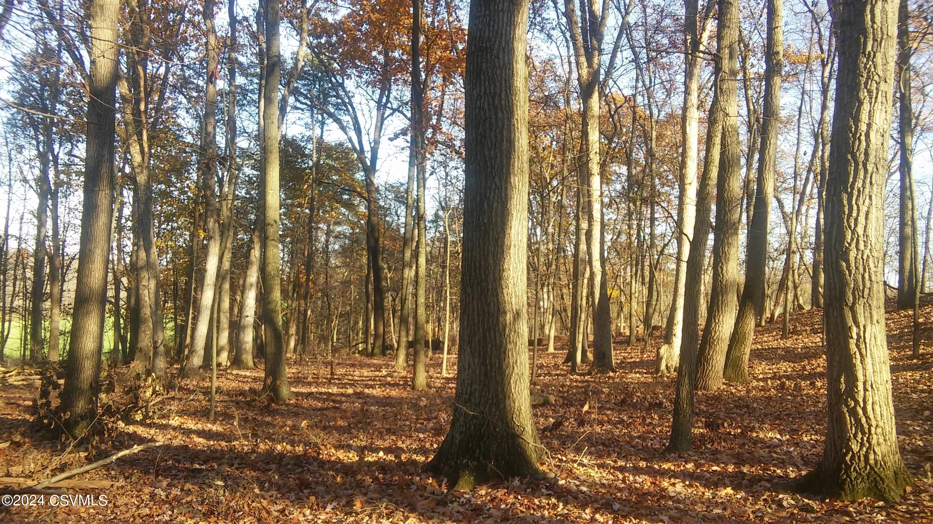 Lot 4 Milroy Road  New Columbia PA 17856 photo