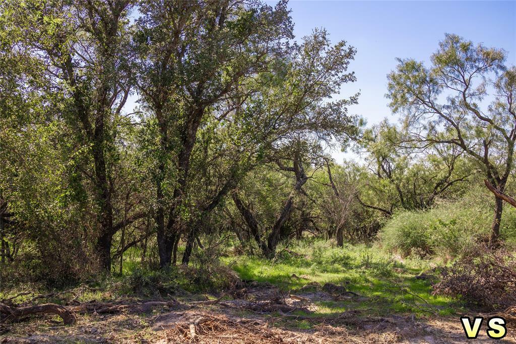 Property Photo:  Lot 7 County Road 489  TX 76857 