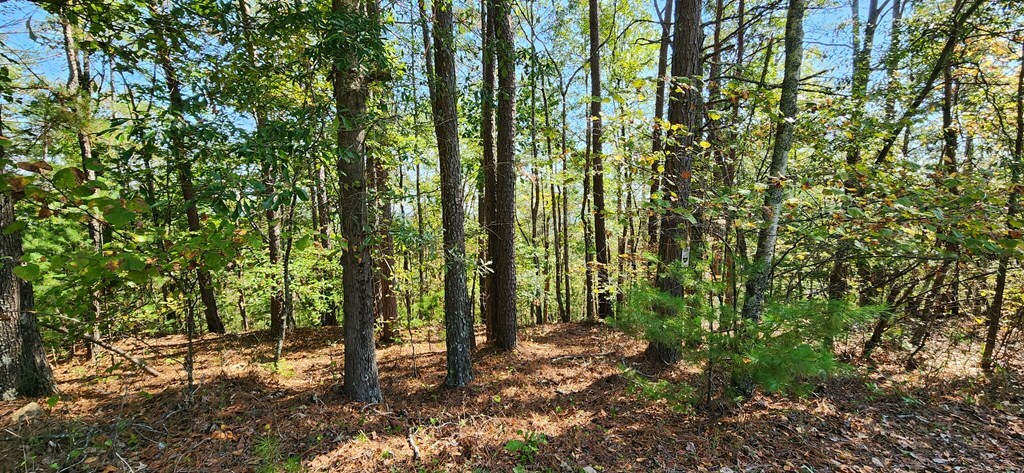 Property Photo:  Lot 1699 Shade Tree Drive  GA 30175 