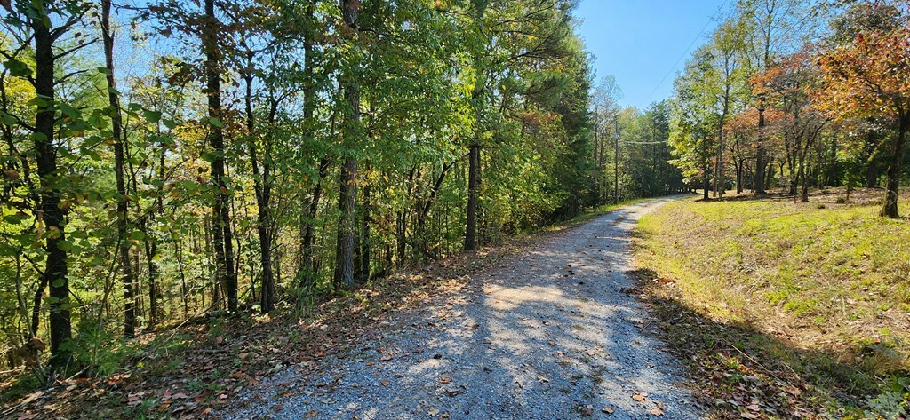 Property Photo:  Lot 1699 Shade Tree Drive  GA 30175 