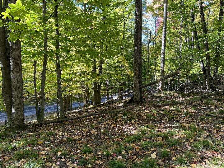 Property Photo: 115 Doe Path Place MI 49735