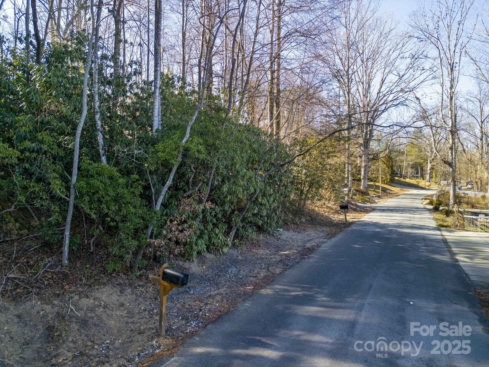 Property Photo: 00 Upper Ridgewood Boulevard NC 28739