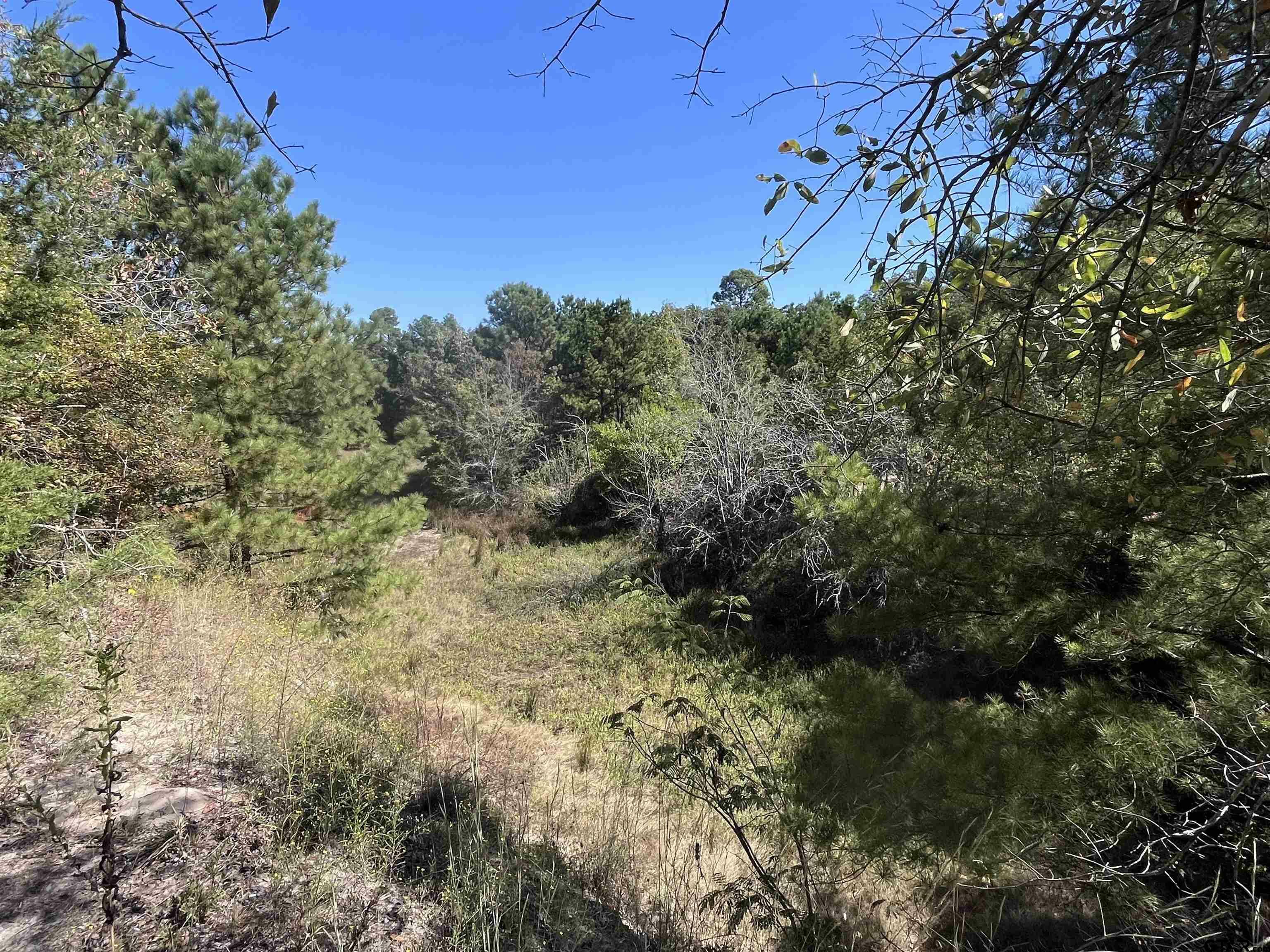 Property Photo:  Tbd Private Road 6304  TX 75773 