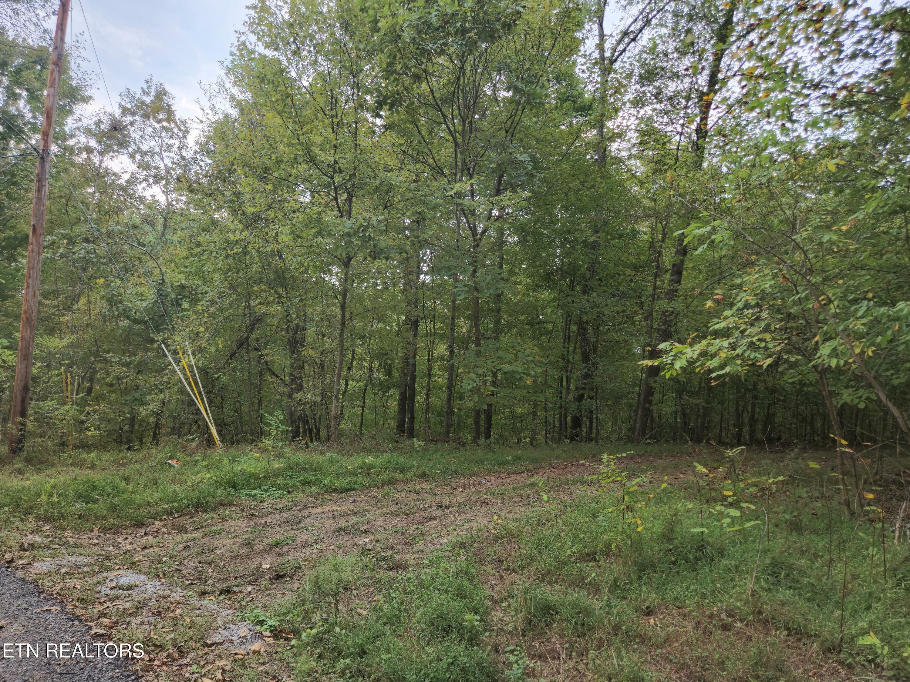 Property Photo:  Hodges Court  TN 37890 