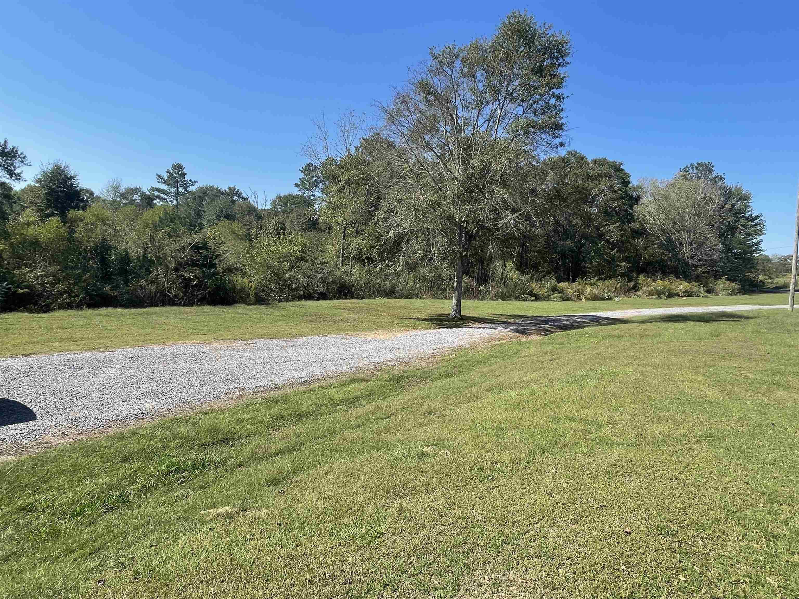 Property Photo:  566 Co Rd 1805  AL 35083 - HOLLY PO 