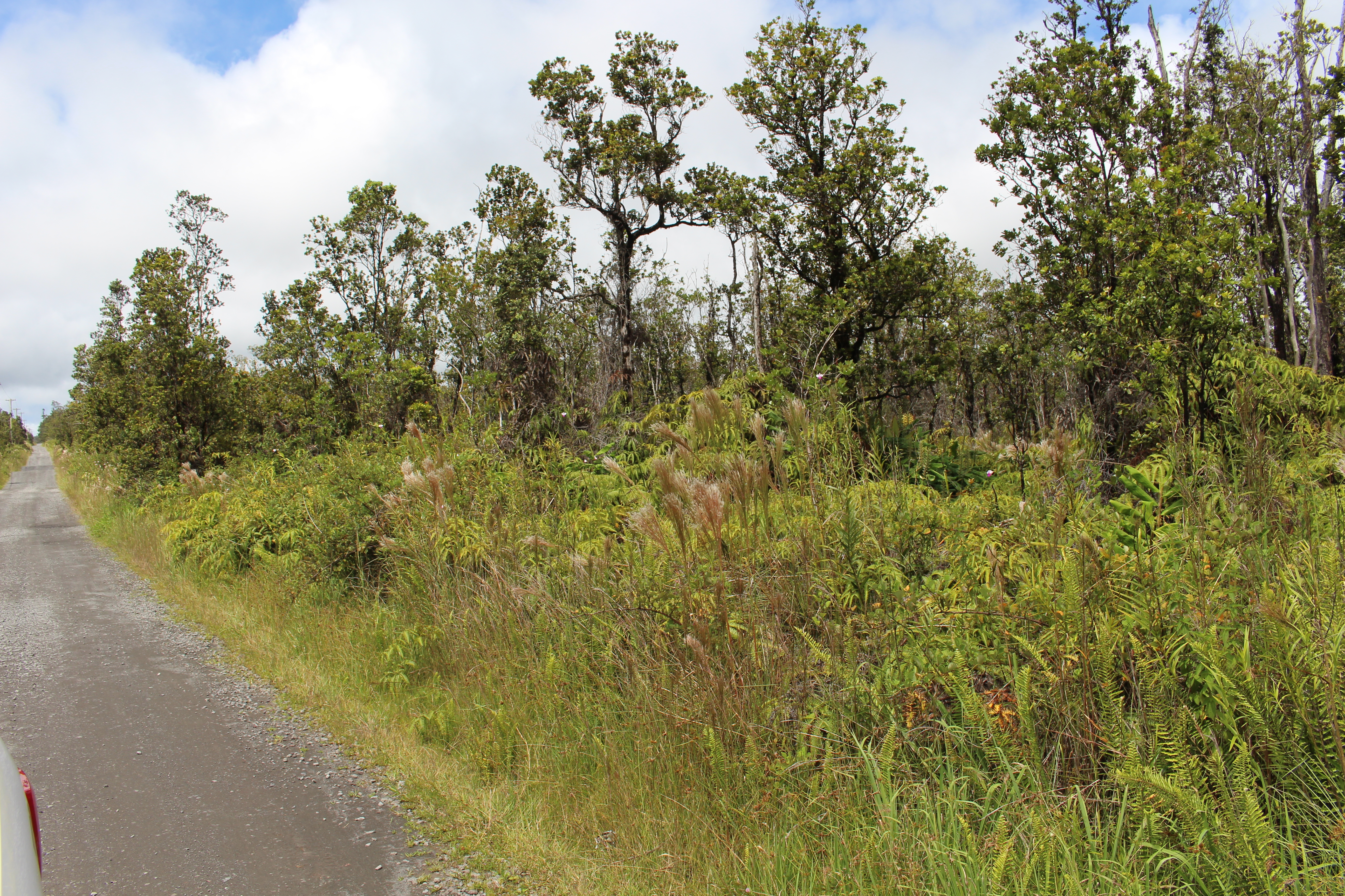 Property Photo:  Noe Kuahiwi Rd  HI 96785 