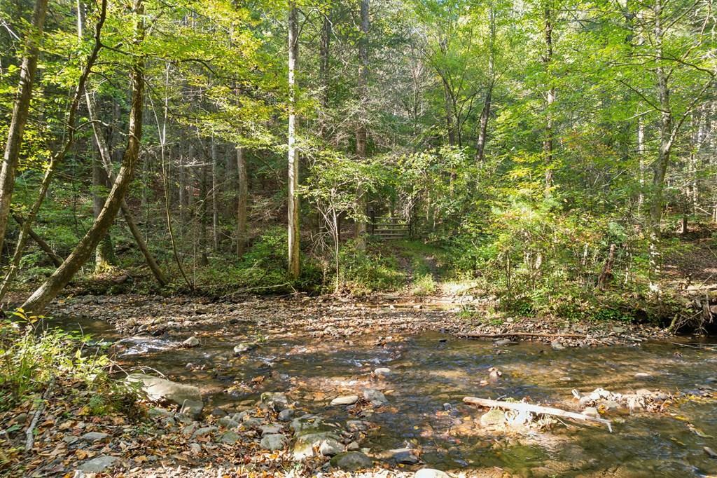 Property Photo:  5677 Turniptown Road  GA 30536 