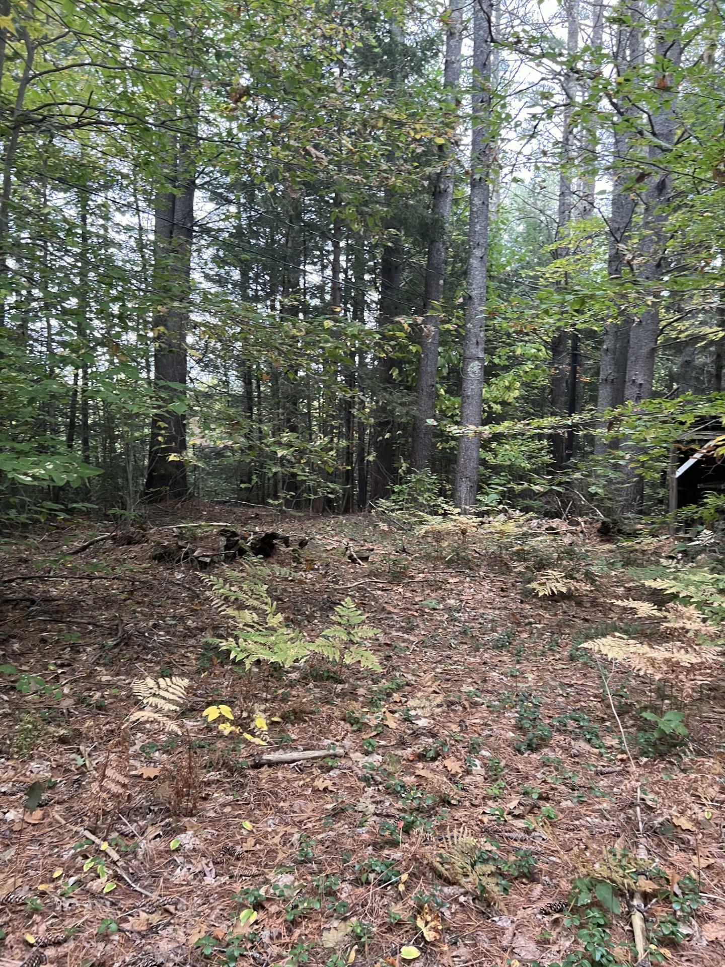 Property Photo:  73 Mill Brook Road  NH 03285 