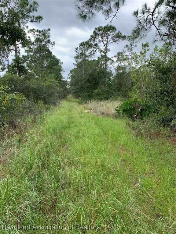 Property Photo: 1217 Cardwell Street FL 33852