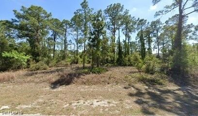 3803 39th Street SW  Lehigh Acres FL 33976 photo