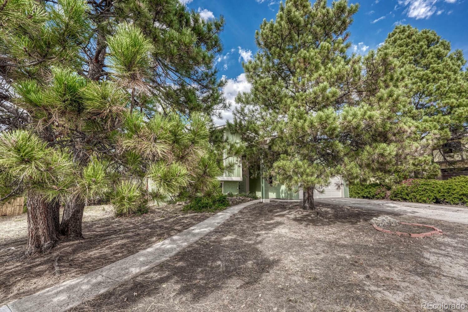 Property Photo:  3110 Vickers Drive  CO 80918 