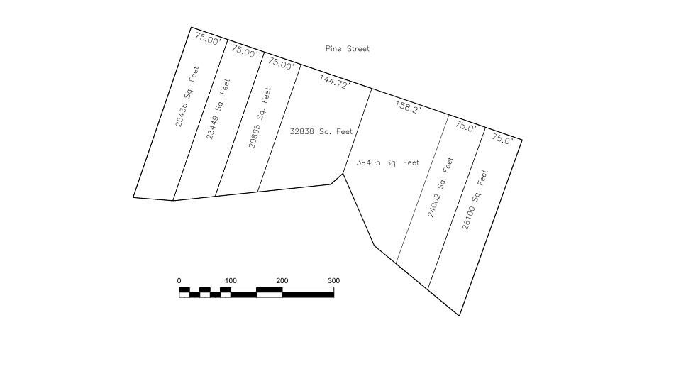 Property Photo:  Pine Rd  VA 23824 