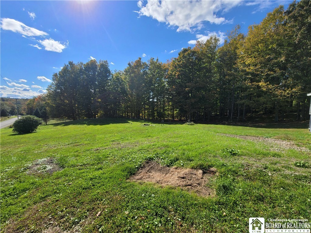 Property Photo:  8771 Hahn Road  NY 14063 