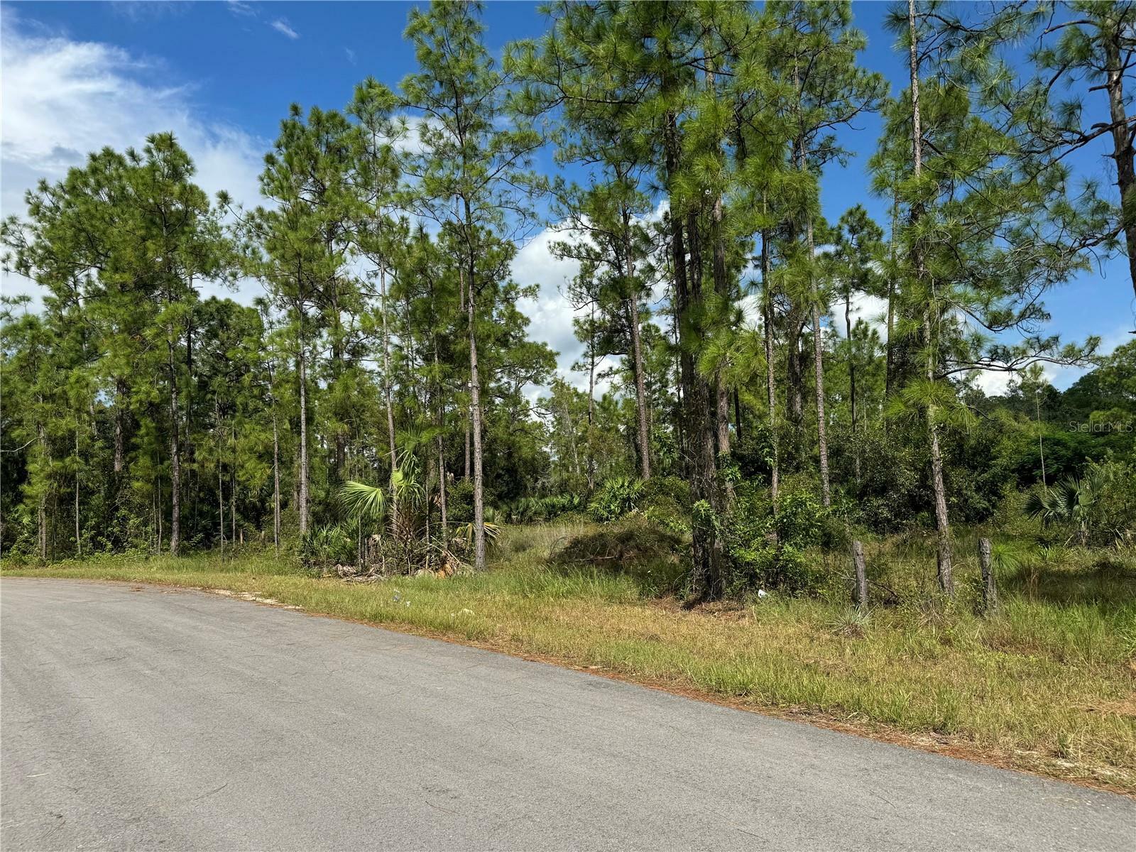Property Photo: 2124 Jackson Avenue FL 33920