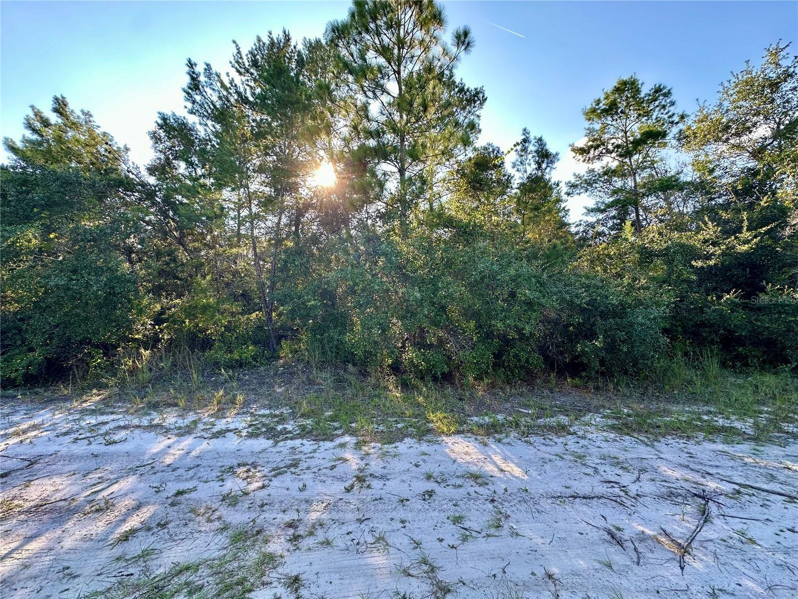 Property Photo:  Central Parkway  FL 32724 