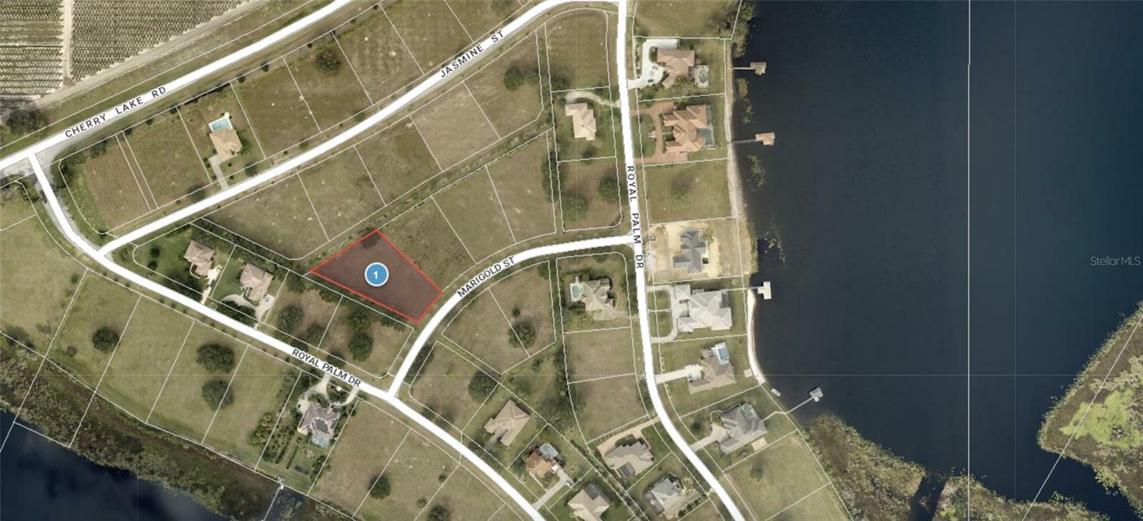 Property Photo:  Lot 55 Marigold Street  FL 34736 