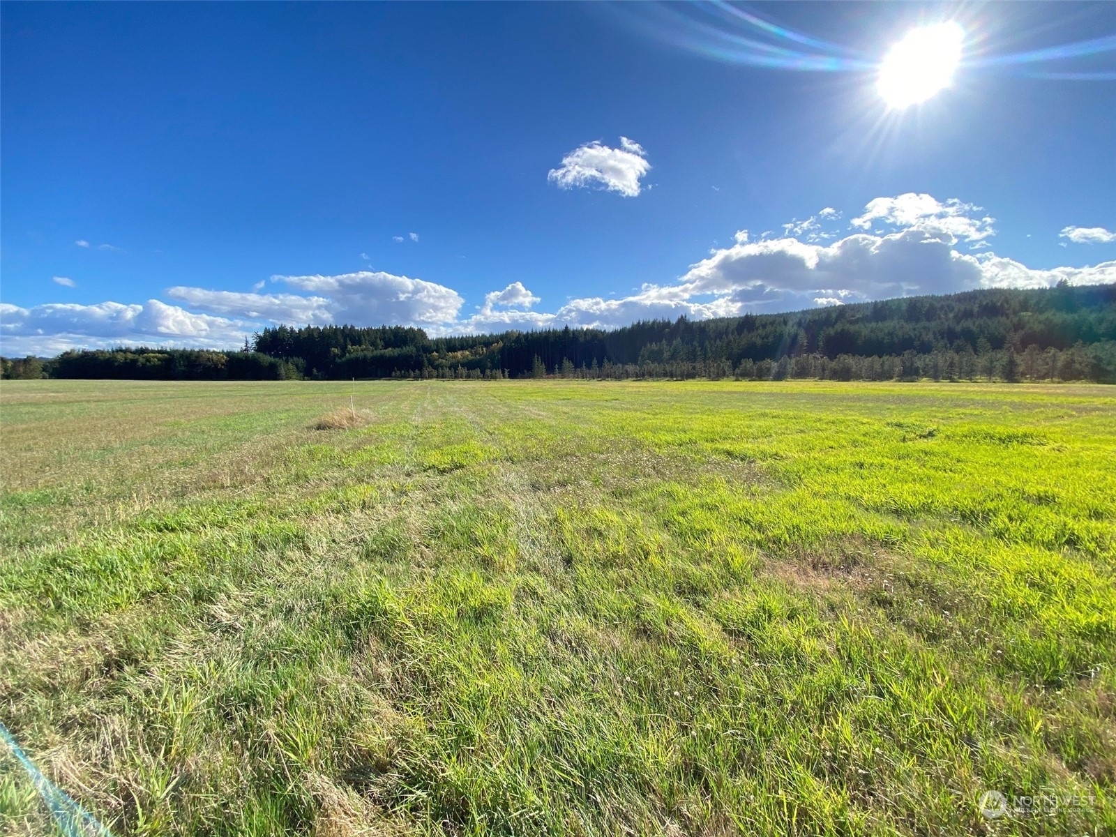 Property Photo:  0 Bunker Creek Road  WA 98532 