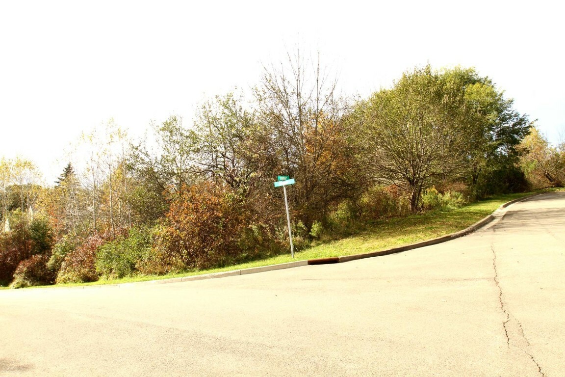 Property Photo:  1301  Lot 26 Domenica Drive  NY 13760 