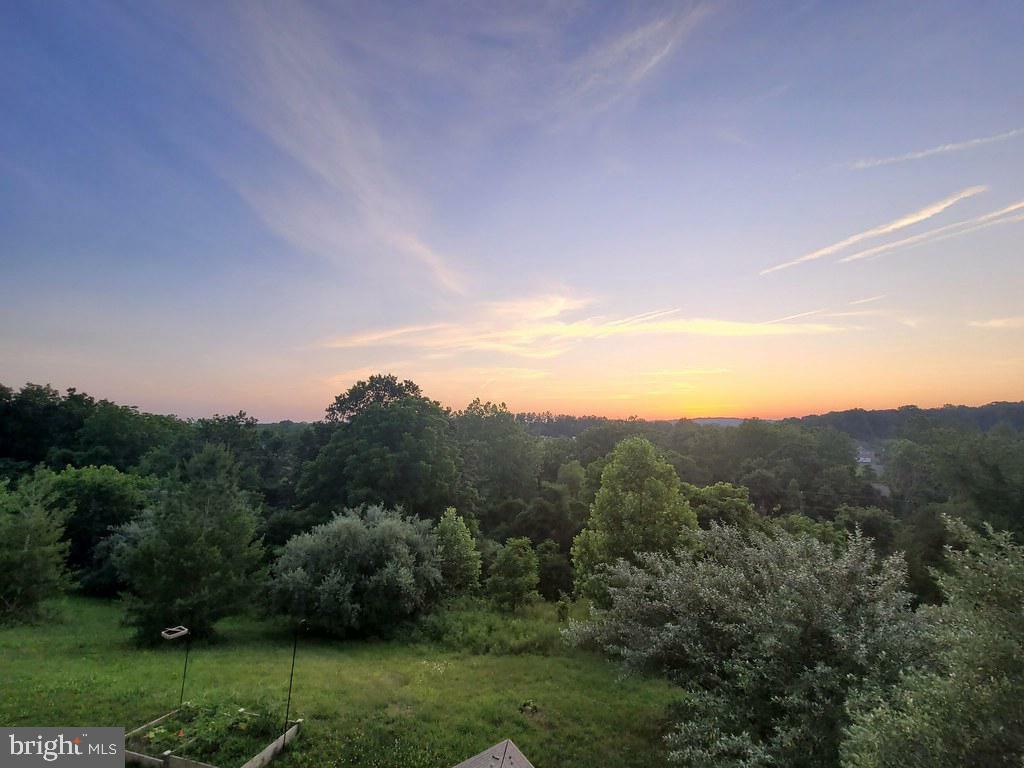 Property Photo:  20999 Honeycreeper Place  VA 20175 