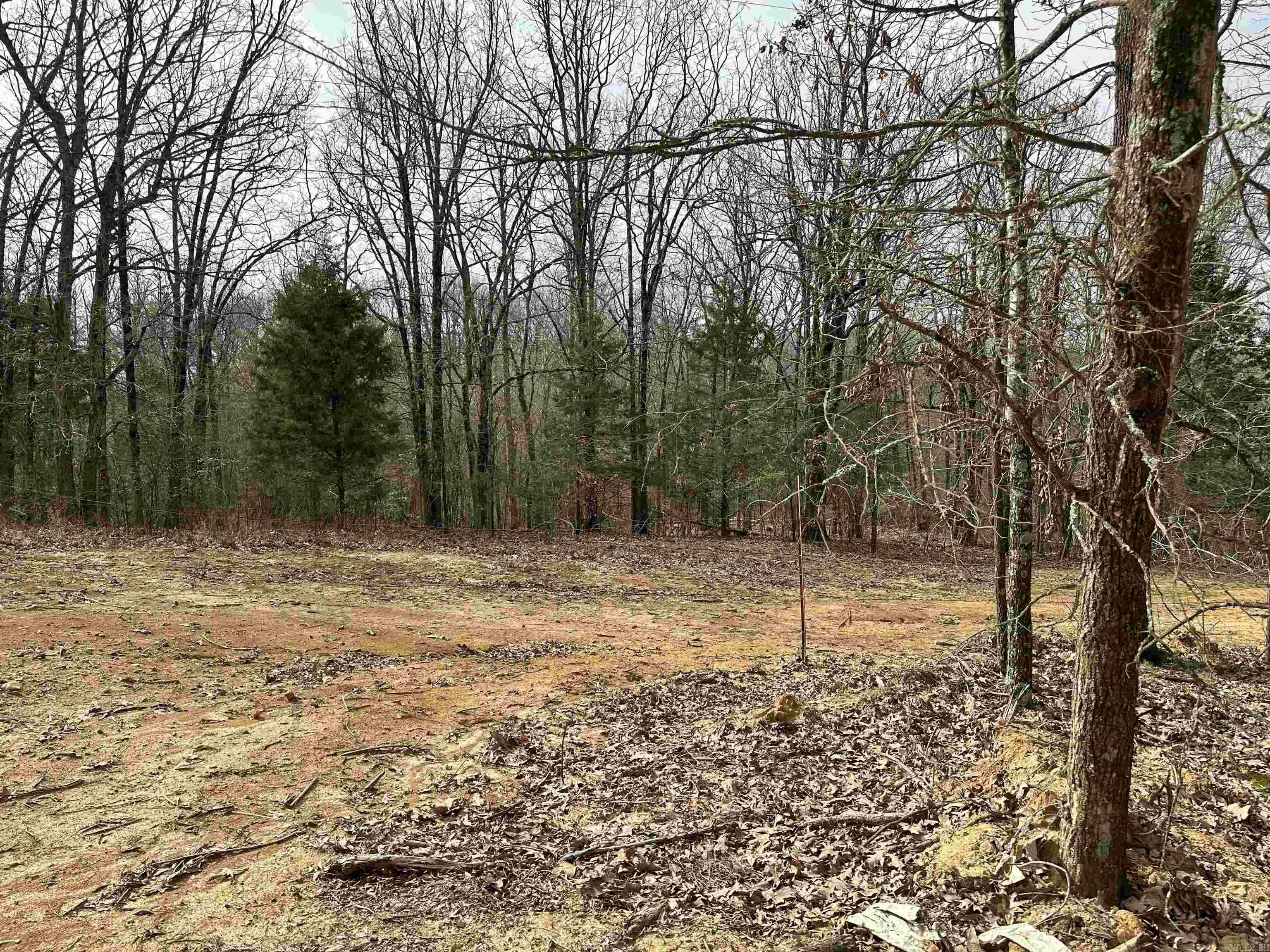 Lot 1 Raby Road  Harrisburg AR 72432 photo