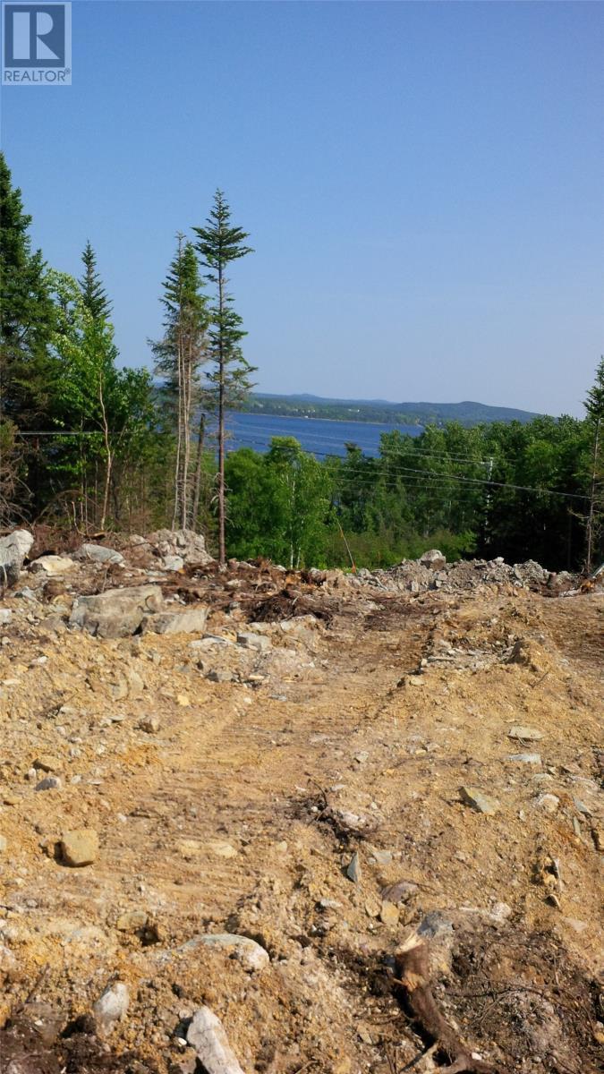 Property Photo:  321-325 Main Street North  NL A0G 2L0 