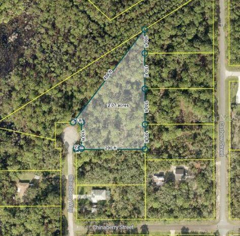 Property Photo:  Tbd Chinaberry Way  FL 32736 