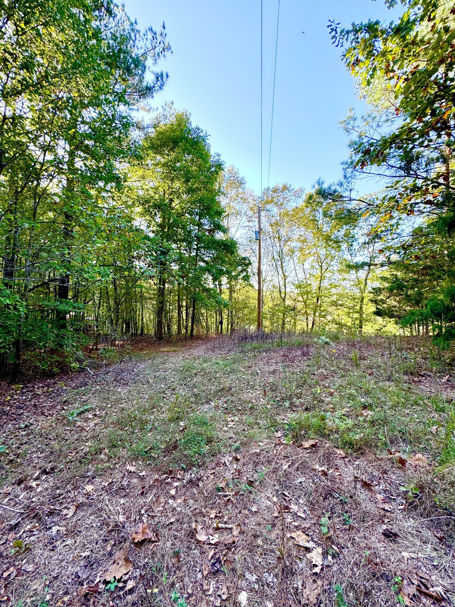 Property Photo:  0 Tidwell Switch Rd  TN 37025 