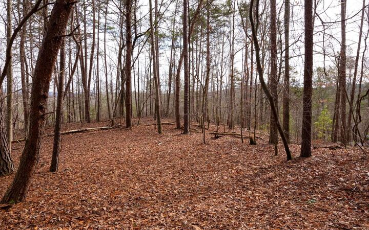 0 Mountain Creek Hollow  Talking Rock GA 30175 photo