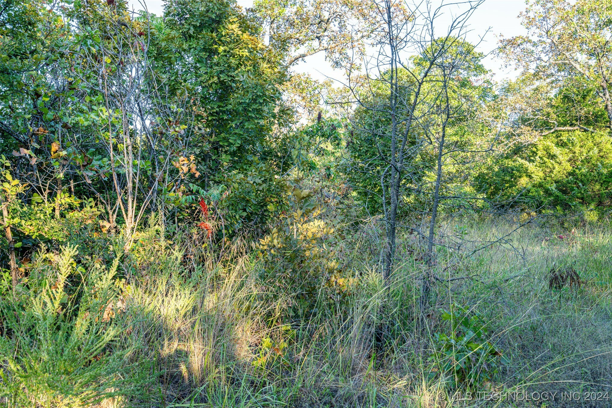 Property Photo:  0002 S 4495 Road  OK 74962 