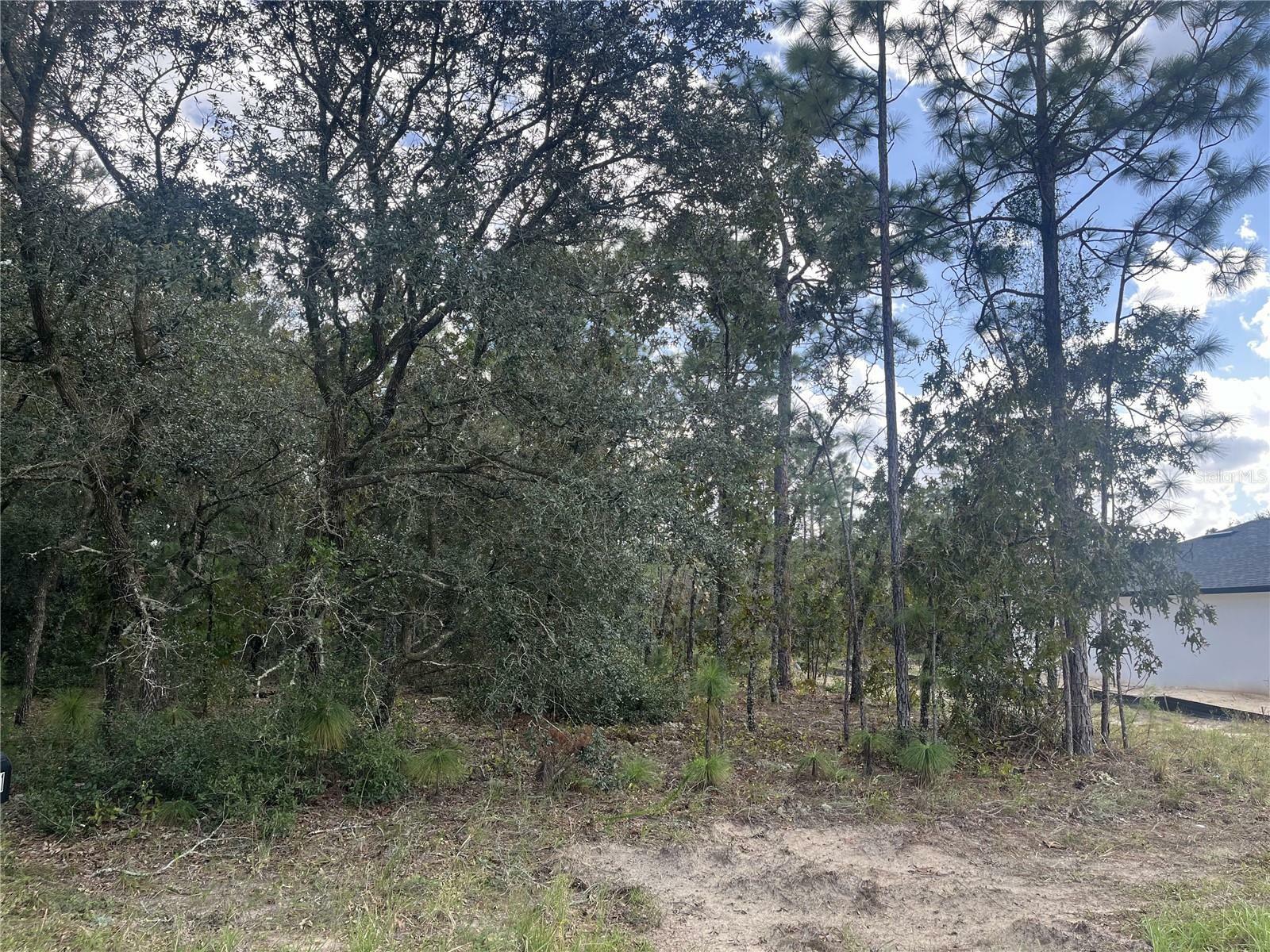 Property Photo:  7370 N Veronica Drive  FL 34433 