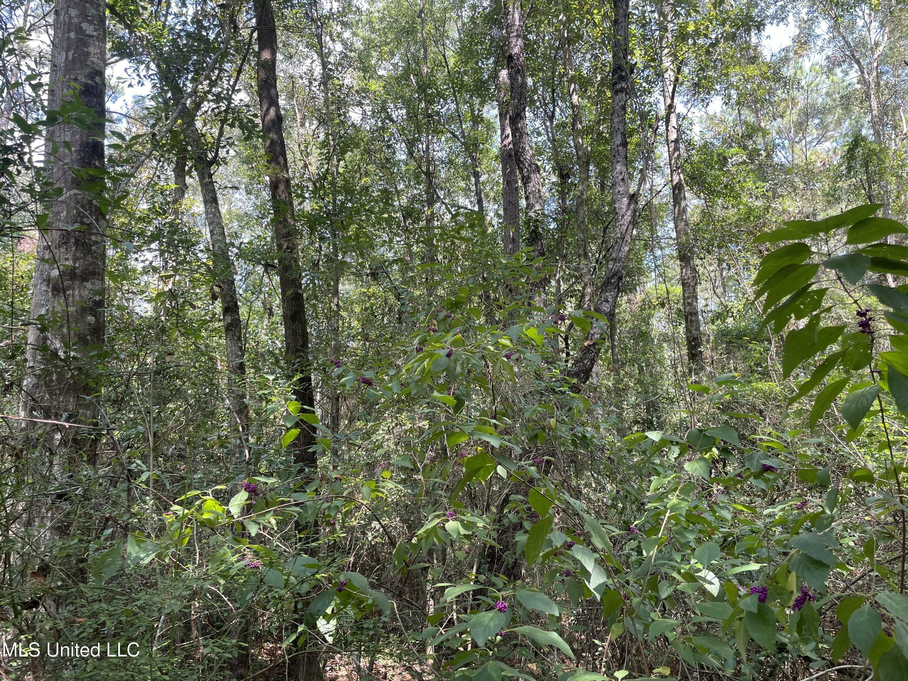 Property Photo:  16509 McGregor Road  MS 39565 