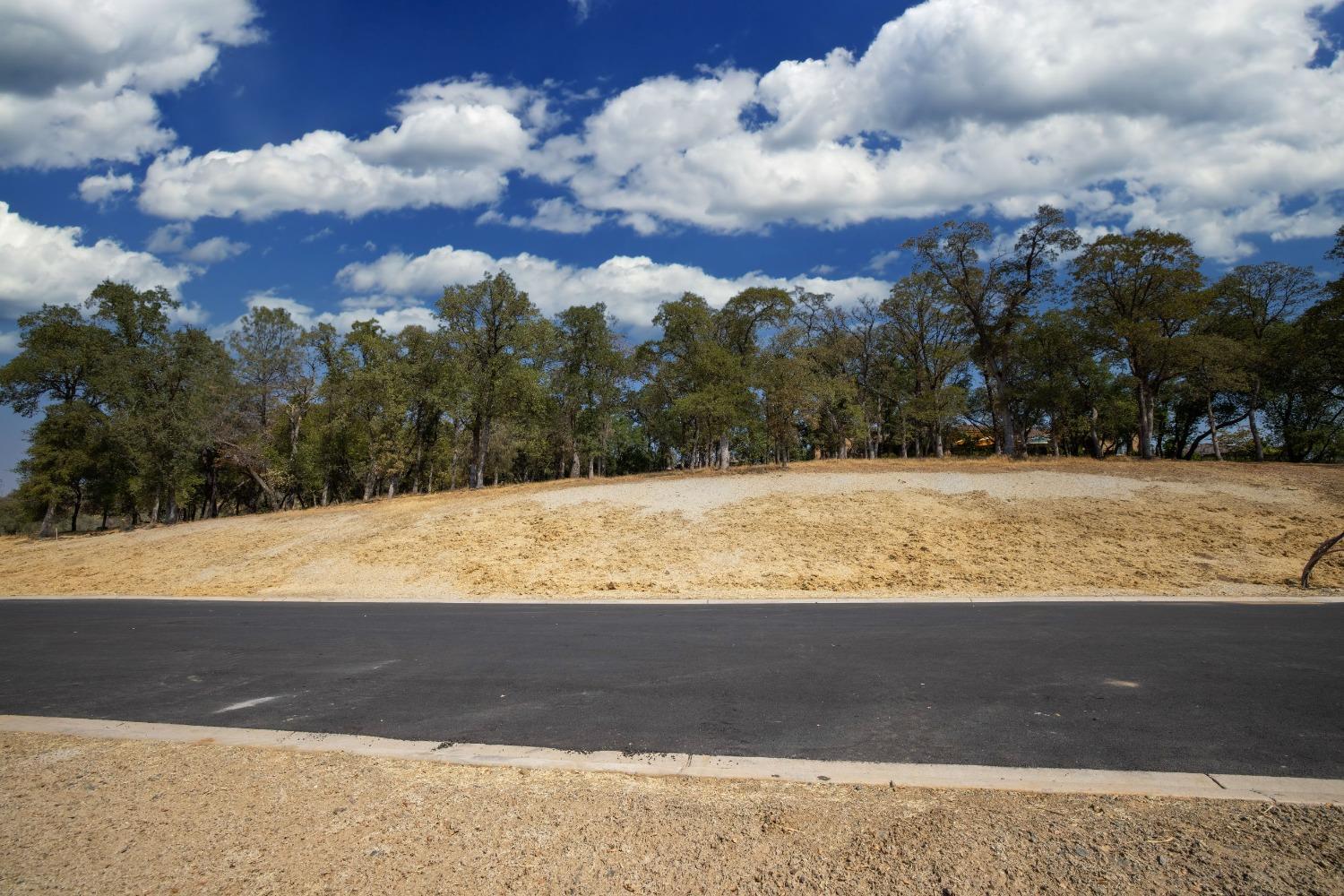 Property Photo: 4090 Raphael Drive CA 95762