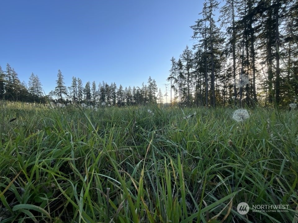 Property Photo:  5777 Kramer Road  WA 98260 