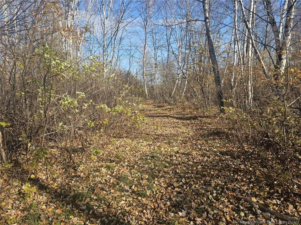 Property Photo:  33.8 Acres Riverside Drive  NB E2A 6L4 