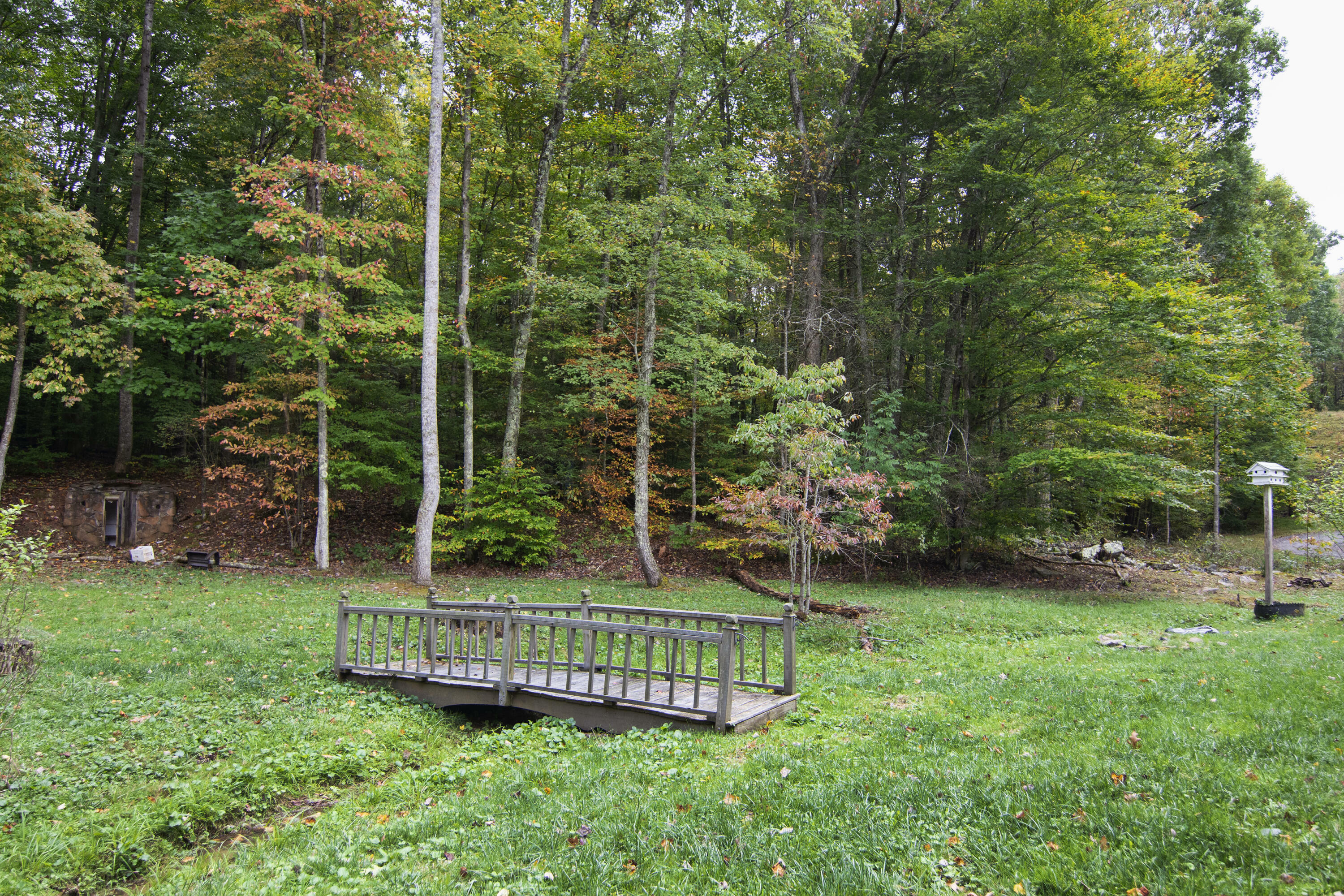 Property Photo:  2110 Hump Mountain Rd  WV 25976 